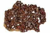 Fantastic, Red Vanadinite Crystal Aggregation - Morocco #104760-1